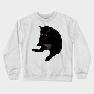 My Skrunkly Crewneck Sweatshirt